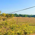 Holiday Destiny Home Stay